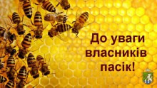 Роль пасічника у захисті бджіл від отруєння