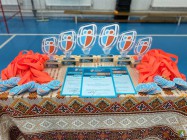 Вітаємо переможців ІІІ (зонального) етапу Всеукраїнських шкільних ліг з волейболу!